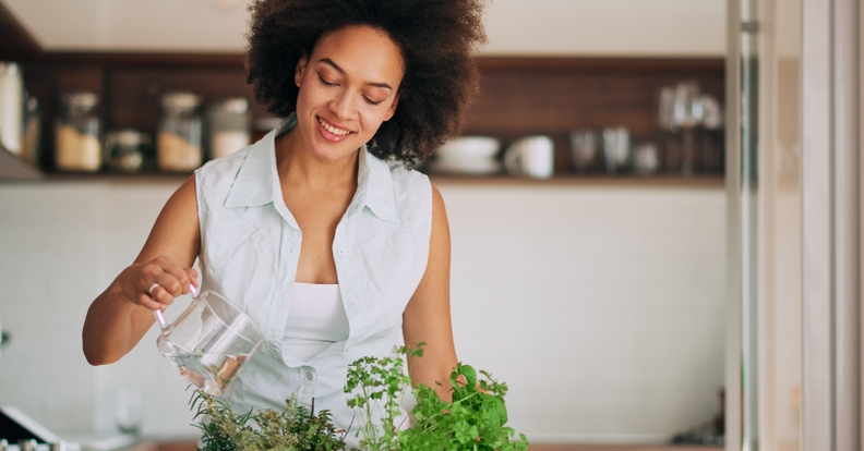 így varázsolj fenntartható otthont a lakásodból!