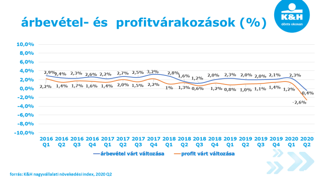 nagyvállalati árbevétel- és profitvárakozások 2020