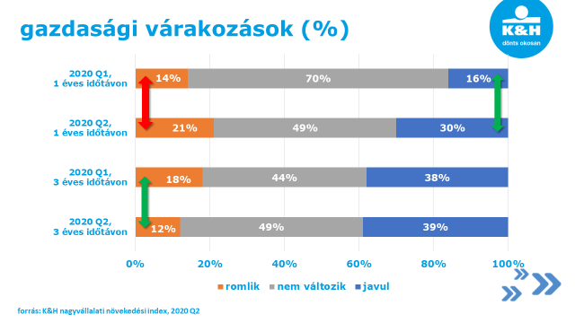 nagyvállalat gazdasági várakozások 2020