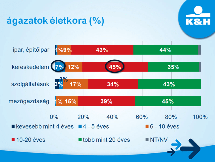 ágazatok életkorának megoszlása százalékos formában 2020